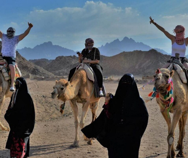 Kamelreiten Hurghada